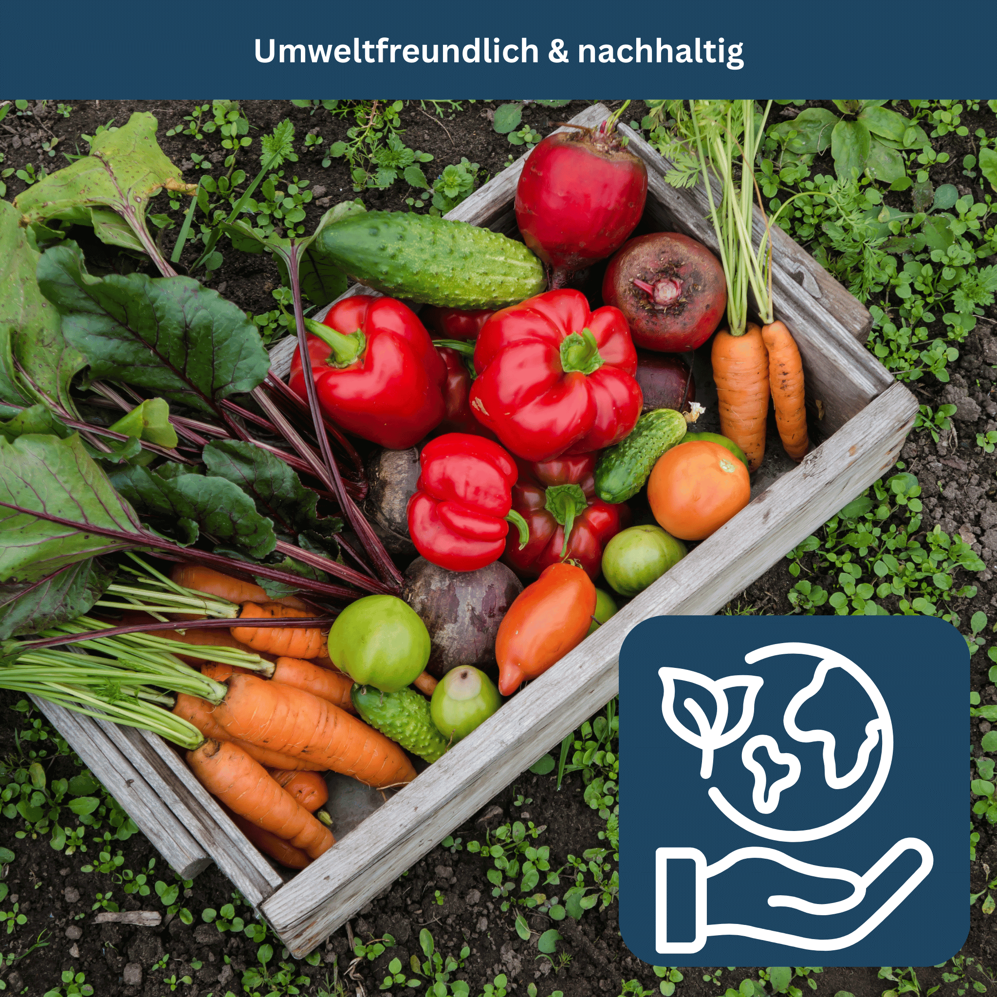 Survival Garden Set – 35 Organic Varieties, 16,000+ Seeds