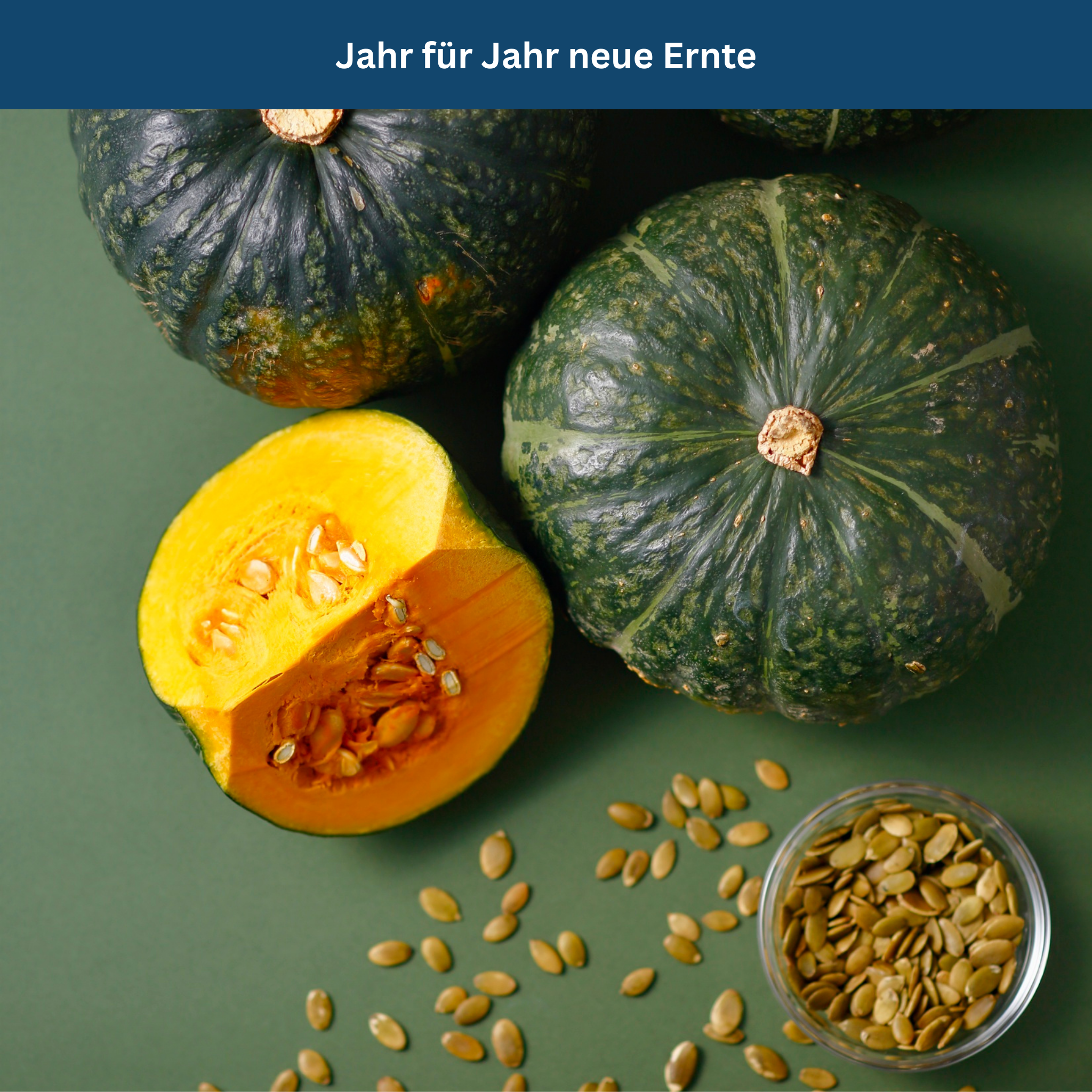 Survival Garden Set – 35 Organic Varieties, 16,000+ Seeds