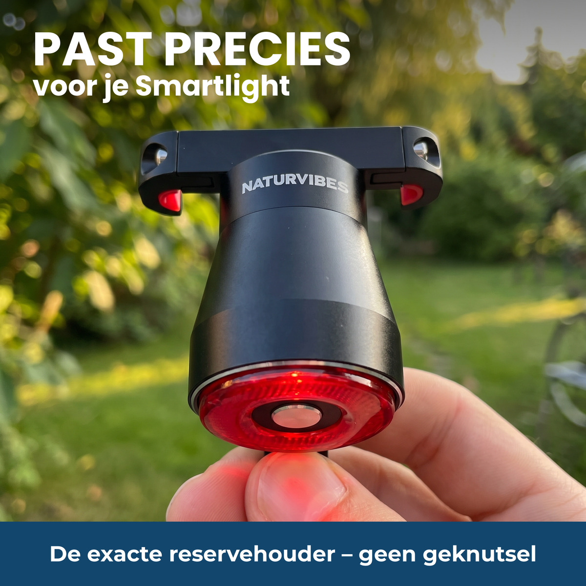 Past precies